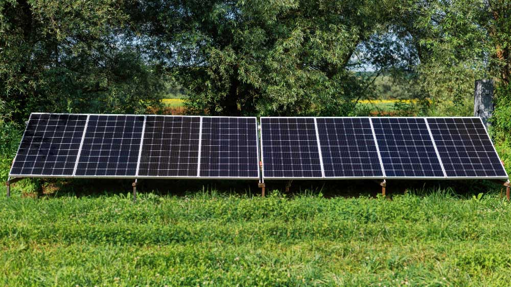 Cómo los paneles solares pueden reducir tu factura de electricidad